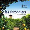 Ciné "Les citronniers"