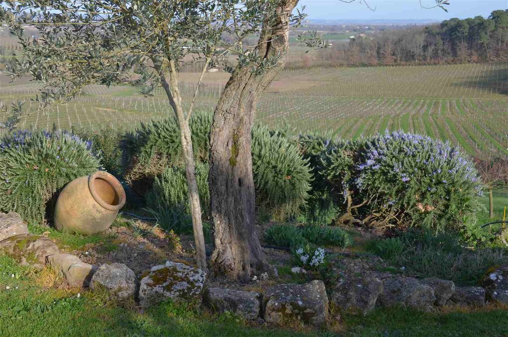 Domaine Émilien Jean, un nouveau regard sur le vignoble Lot-et-Garonnais.
