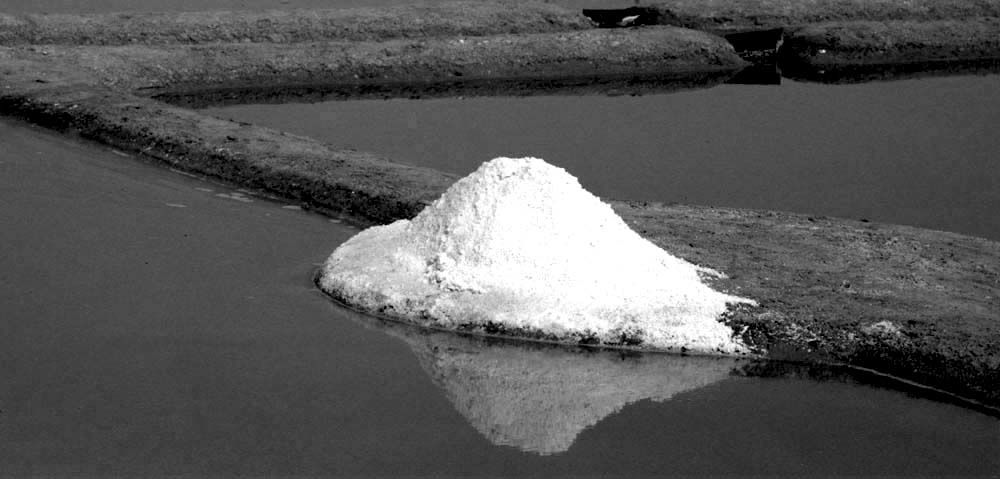 Album - Les Marais-salants de Guerande en noir et blanc