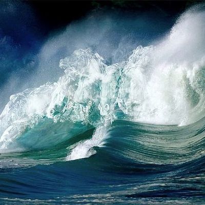 Rescapés après 32 jours en mer