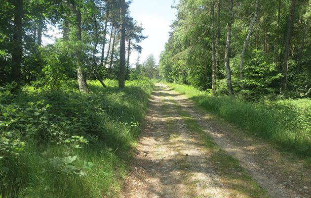 AUBRAC: Etape 1 - 53 Km