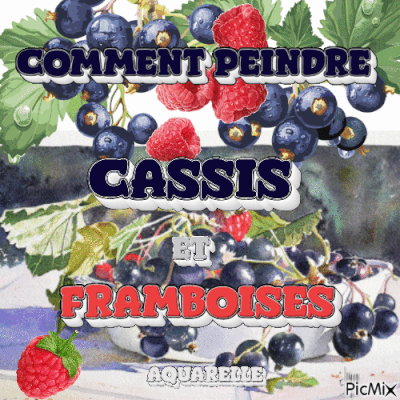 Dessin et peinture - vidéo 4543 : Comment peindre une nature morte aux cassis et framboises ? - aquarelle.