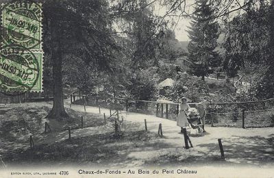Chaux-de-Fonds - Au Bois du Petit Château