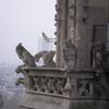 balade dans les tours de Notre Dame
