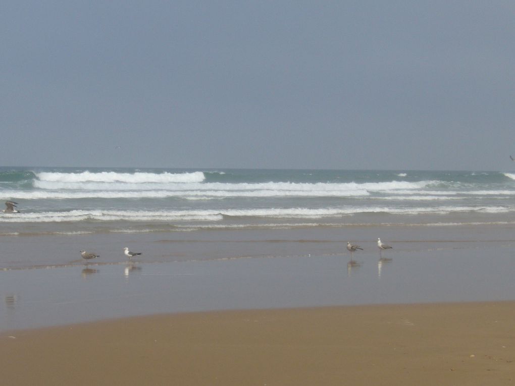 Voyage d´une semaine avec Elodie: rando-thalasso-hammam à Essaouira.. Pur plaisir.