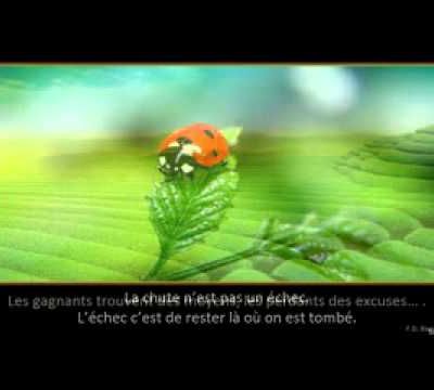 Citations motivantes