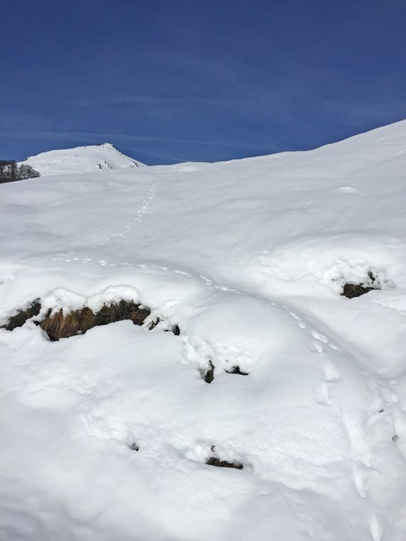 25-26 janvier 2019: séjour Iraty