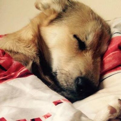 Blog von Umo