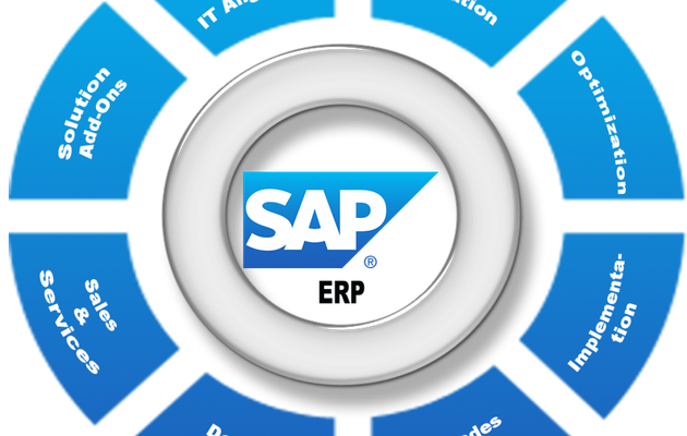 Gestire le risorse d'impresa con SAP