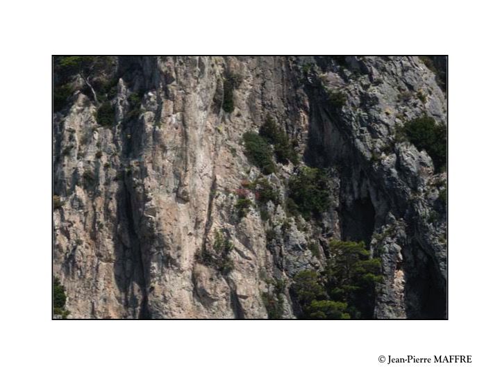 Quelle a été la réaction de nos ancêtres de l’antiquité face à cette profusion de formes humaines dans des rochers qui n’ont probablement pas changés depuis.