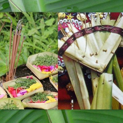 Blog Balibalik - Tumpek Uduh Cérémonie balinaise dédiée aux plantes - Tumpek Landep cérémonie dédiée au métal - Tumpek Kandang ...