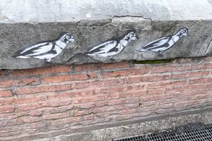 street art autour de toulouse ( bord de la voie rapide)