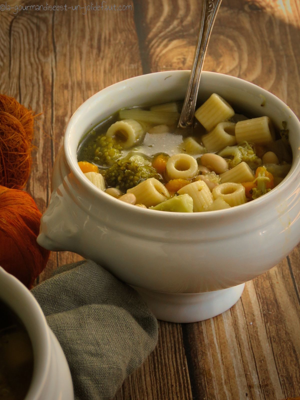 soupe, légumes, minestrone, potimarron, fenouil, brocolis, ail, haricots blancs, pâtes, la gourmandise est un joli défaut