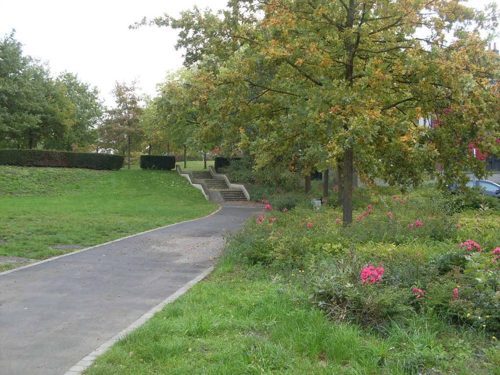 Le vignoble Valenciennes