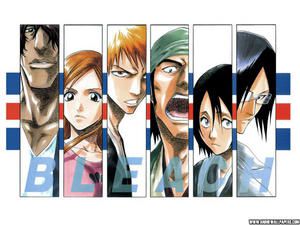 Bleach