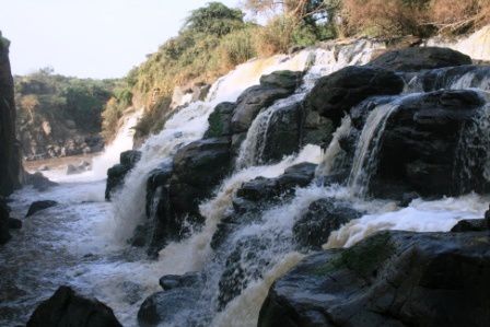 Awash National Park, Rift Valley, East Ethiopia. Fauna and Flora around the park and the Awash river.