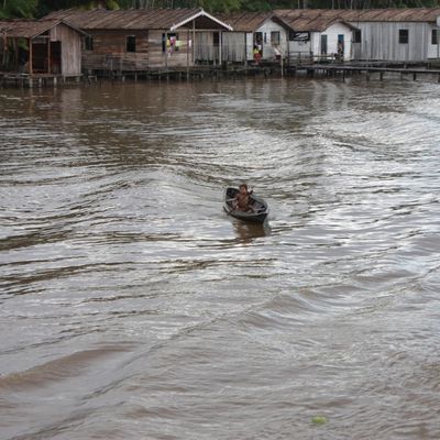 L´Amazonie: de Belem à Manaus