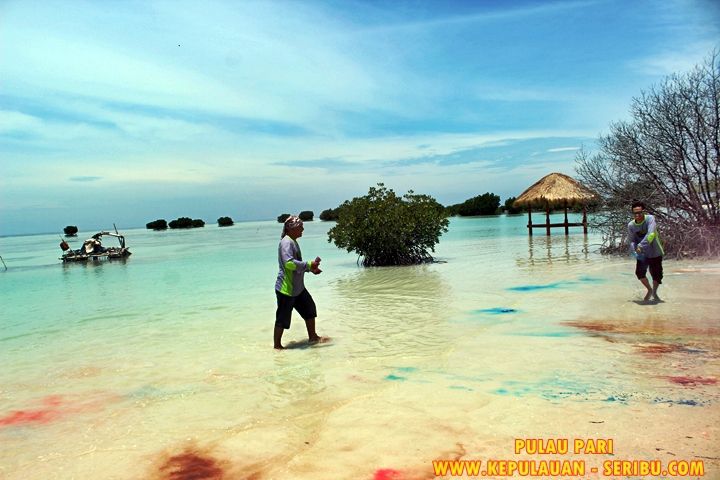 Pulau Pari