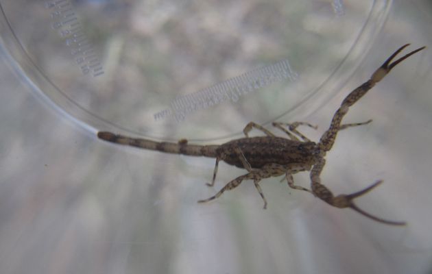 J'ai testé les visites guidées "fête de la nature"