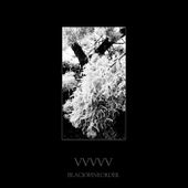 vvvvv, by Black Wine Order