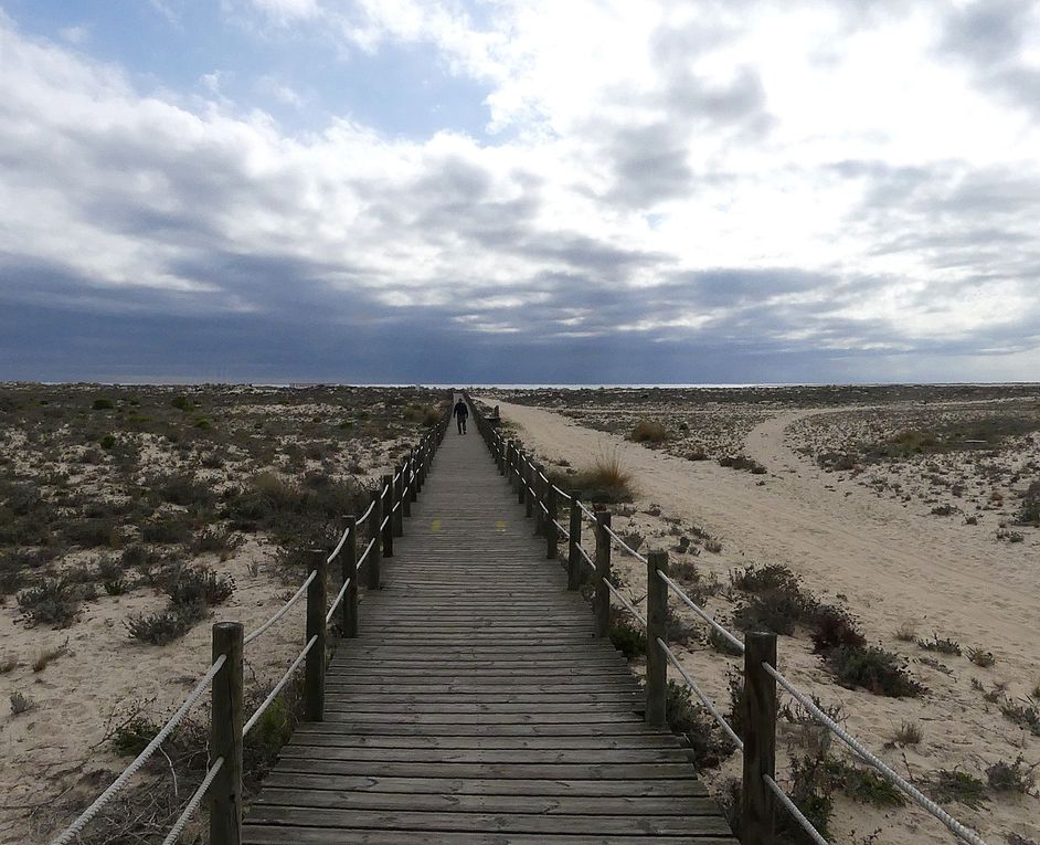 lagune de Faro 