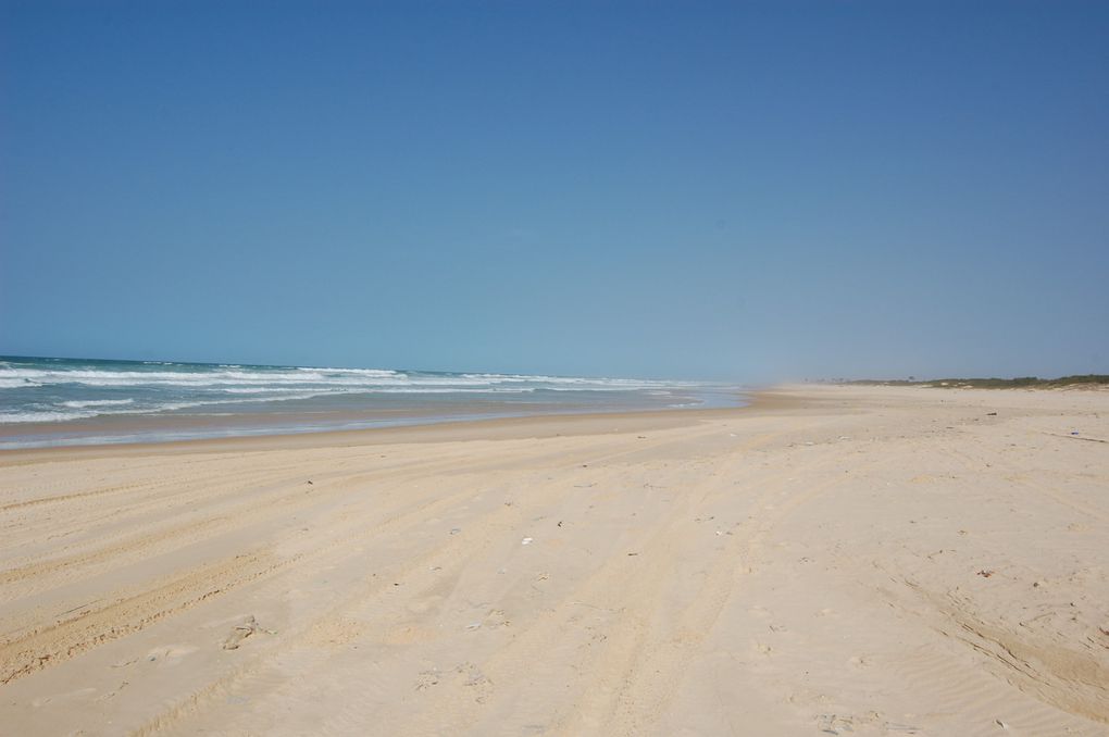 L'album de notre voyage au Sénégal en janvier 2014, le premier mais nous espérons qu'il y en aura d'autres tant ce pays est attachant.