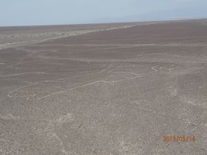 Geoglyphes de Nazca
