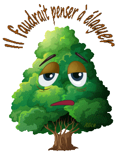 Divers comment enlever deux sapins