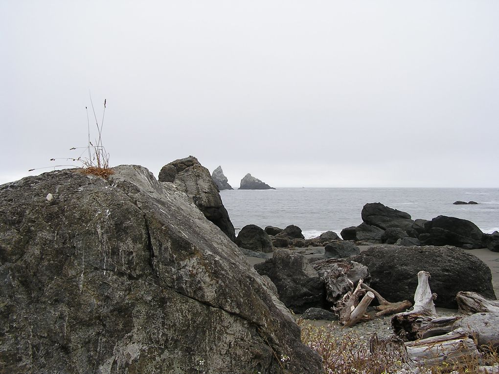 De Seattle (Etat de Washington à Crescent City (Californie), sur  une distance de 1000 kms, la côte oregonnaise offre un paysage magnifique, sauvage et grandiose où souffle l'esprit des peuples premiers, les indiens d'Amérique du Nord.