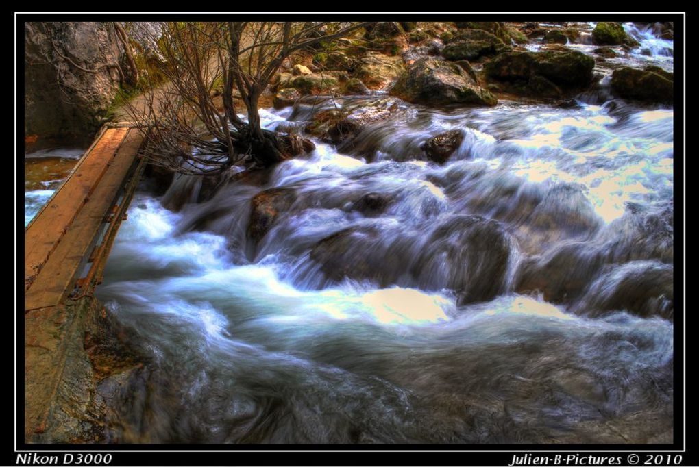 Photograpies portant sur la nature et les paysages qui nous entourent