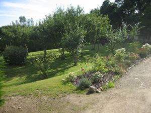 Le gîte: extérieur et terrain