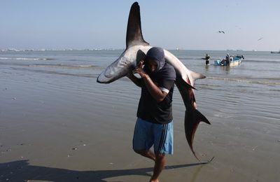 La Costa: de Manabi à Guayas