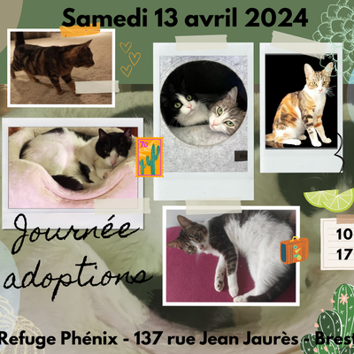 Journée adoptions samedi 13 avril !