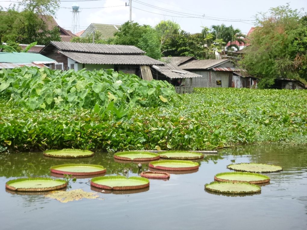 D'autres regards sur Chiang Mai