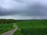On peut accéder aux données détaillées des photos, en les visionnant sur Picasa/Google. Cliquer sur l'onglet "PicasaWeb" sous la bannière.