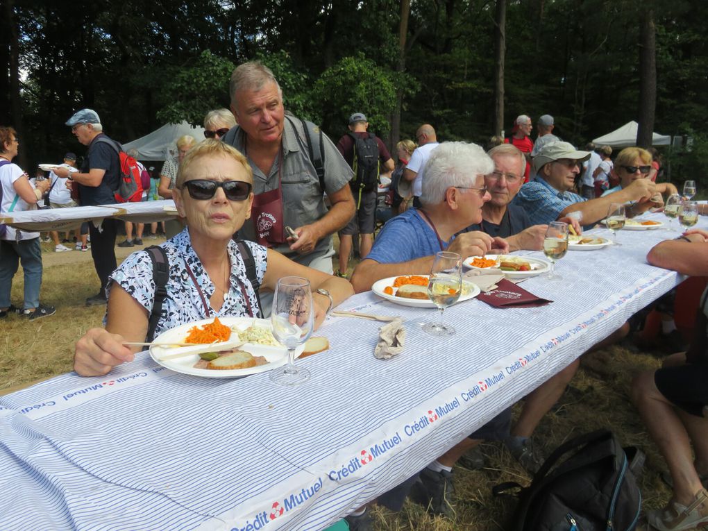 Marche Gourmande du 4 Septembre 2022 à Barr