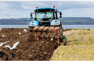 Un agriculteur irlandais fait une curieuse découverte dans son champ : la relique a 3.000 ans