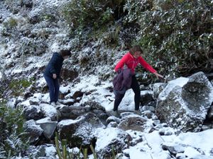 From Wellington to Auckland : The beauties of the North Island !