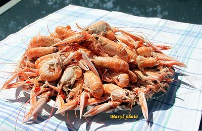 Quel vin avec les langoustines ?