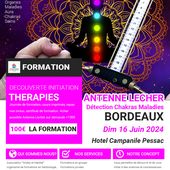 BORDEAUX-Formation THÉRAPIES : " Utilisation Antenne Lecher en soin Énergétique