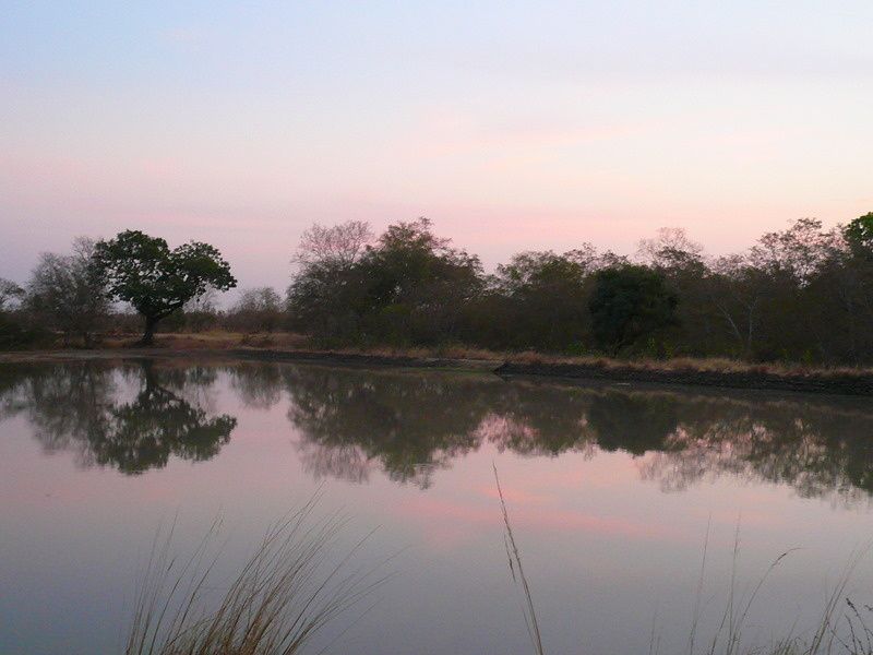 Album - Paysages d'Afrique / African landscapes 2010