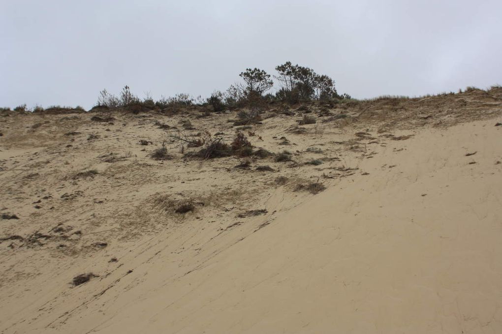 la dune du pilat