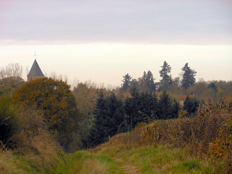 LUMIERES ET COULEURS DU MORVAN....automne 2013