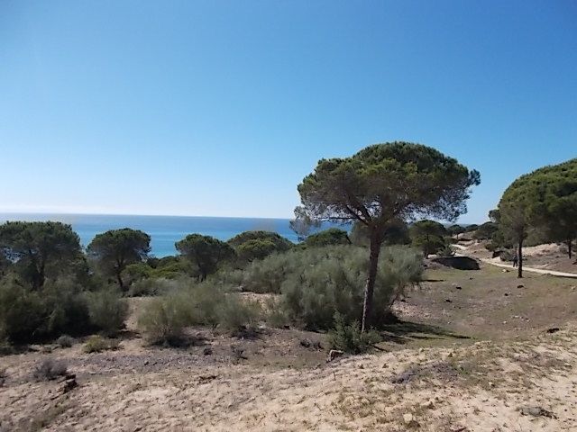 je suis hébergé dans une école de surf, donc de jeunes surfeurs fêtent parfois leur anniversaire, super sympa et très bonne ambiance.