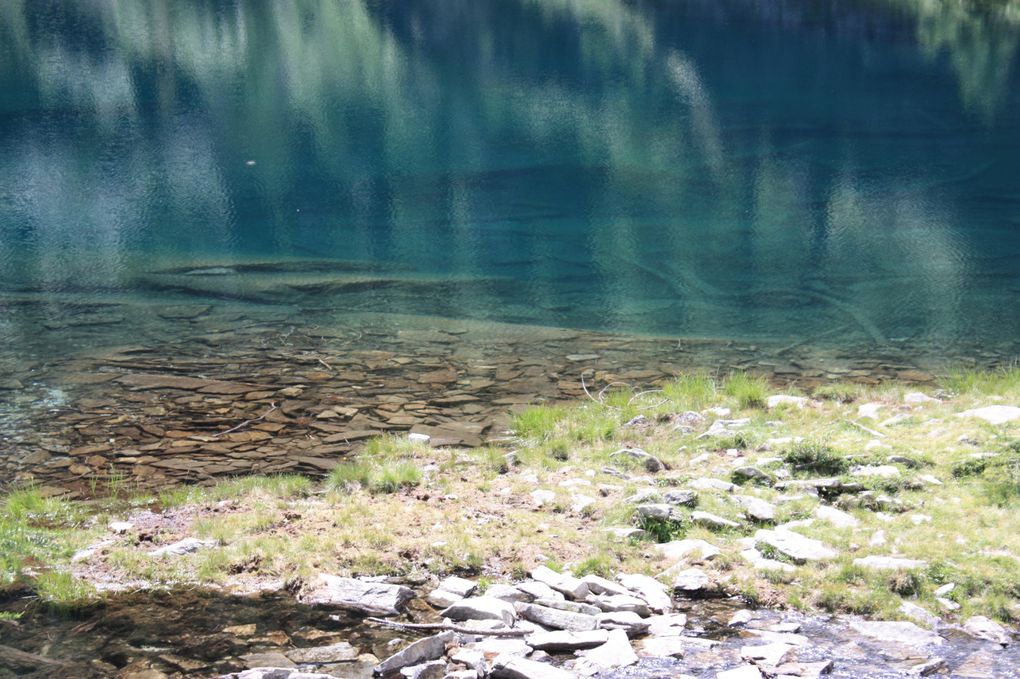 Foto dell'escursione al laghetto di Sfille da Cimalmotto (Vallemaggia) del 26.07.2010