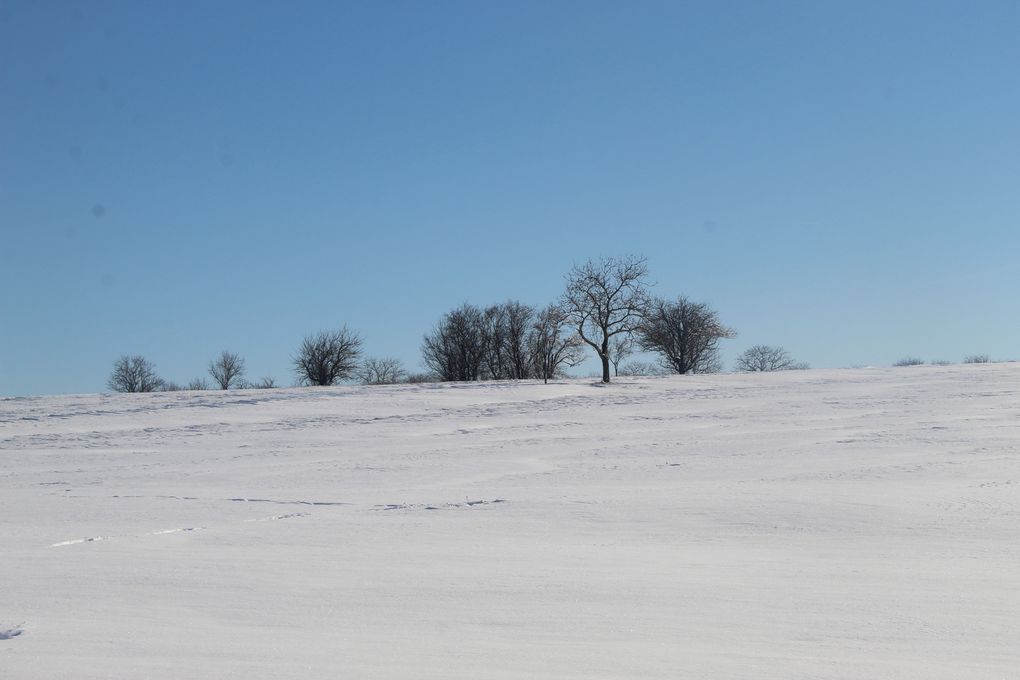 Neige, neige blanche..