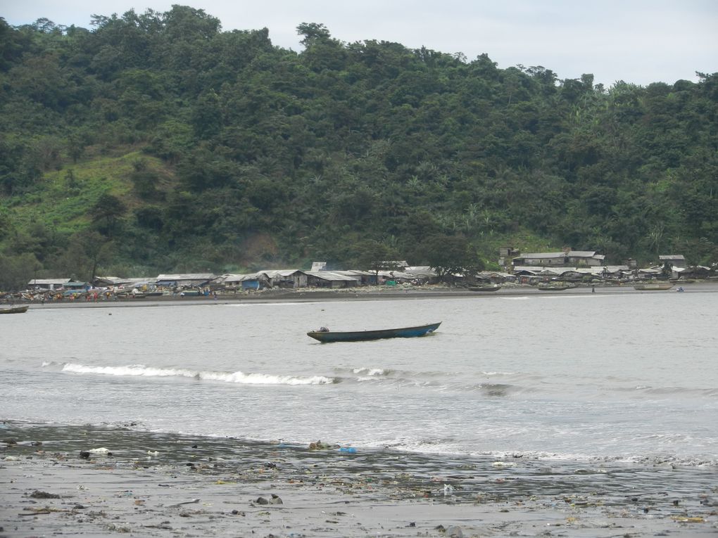 Limbé et ses plages, son parc botanique, son centre de la faune, son activité. Buea base pour le Mont Cameroun et le pont M'Fundi base pour le Nigeria