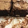 Brownies aux noix de pécan 