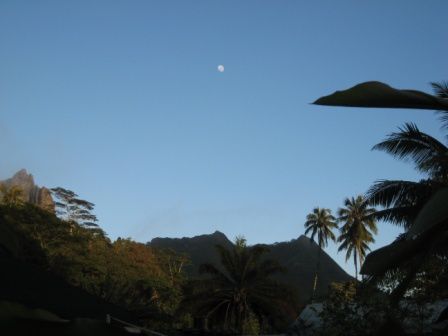 Album - Moorea-Criobe