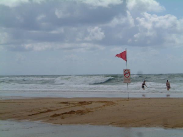 Album - landes-juillet07